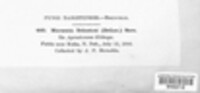 Image Associated With the Occurence